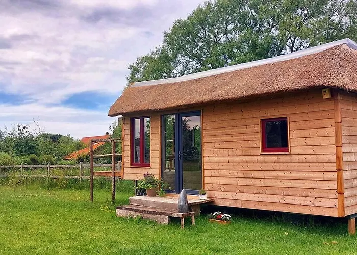 Tiny In De Polders